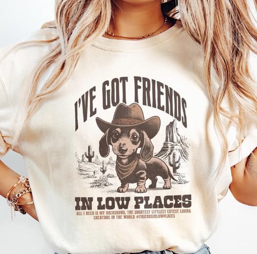 I've Got Friends In Low Places Tee